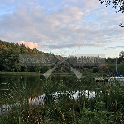 Soutěž polských honičů na přirozených dosledech - Mazurské jezera -Polsko 19-22.9.2019