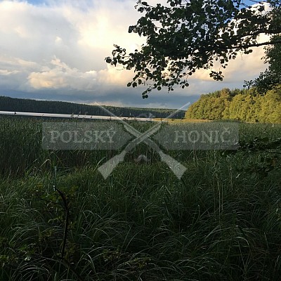 Soutěž polských honičů na přirozených dosledech - Mazurské jezera -Polsko 19-22.9.2019