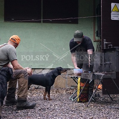 Výcvikový pobyt POLSKÝCH HONIČŮ  4-5.6.2022 VLS -divize Hořovice