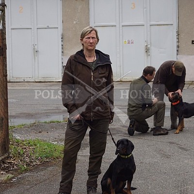 Výcvikový pobyt POLSKÝCH HONIČŮ  4-5.6.2022 VLS -divize Hořovice