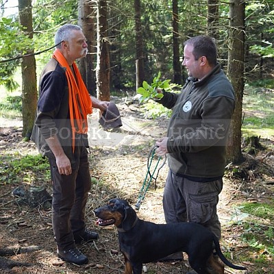 Výcvikový pobyt POLSKÝCH HONIČŮ  4-5.6.2022 VLS -divize Hořovice