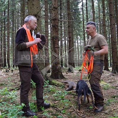 Výcvikový pobyt POLSKÝCH HONIČŮ  4-5.6.2022 VLS -divize Hořovice