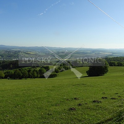 Výcvikový den Polských honičů v Lípě nad Dřevnicí 11.5.2019
