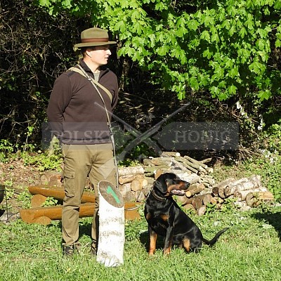 Výcvikový den Polských honičů v Lípě nad Dřevnicí 11.5.2019