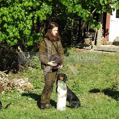 Výcvikový den Polských honičů v Lípě nad Dřevnicí 11.5.2019