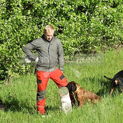 Výcvikový den Polských honičů v Lípě nad Dřevnicí 11.5.2019