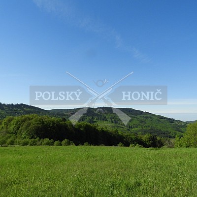 Výcvikový den Polských honičů v Lípě nad Dřevnicí 11.5.2019
