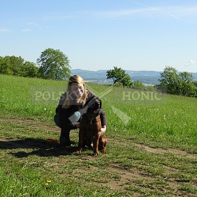 Výcvikový den Polských honičů v Lípě nad Dřevnicí 11.5.2019