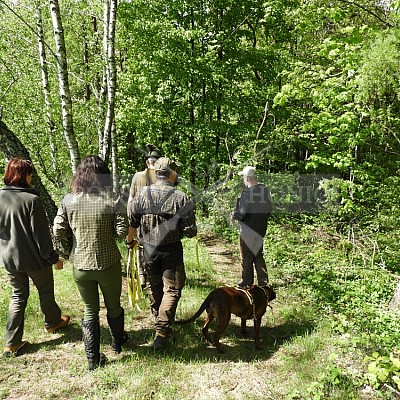 Výcvikový den Polských honičů v Lípě nad Dřevnicí 11.5.2019