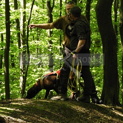Výcvikový den Polských honičů v Lípě nad Dřevnicí 11.5.2019