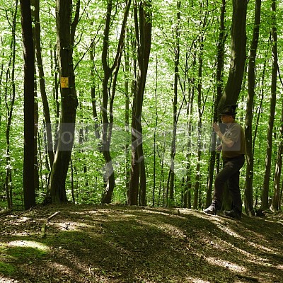 Výcvikový den Polských honičů v Lípě nad Dřevnicí 11.5.2019