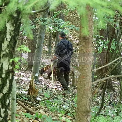 Výcvikový den Polských honičů v Lípě nad Dřevnicí 11.5.2019