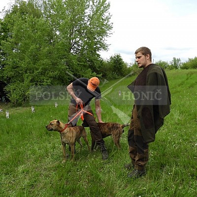 Výcvikový den Polských honičů v Lípě nad Dřevnicí 11.5.2019