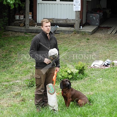 Výcvikový den Polských honičů v Lípě nad Dřevnicí 11.5.2019