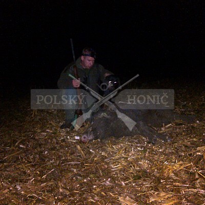Polský honič