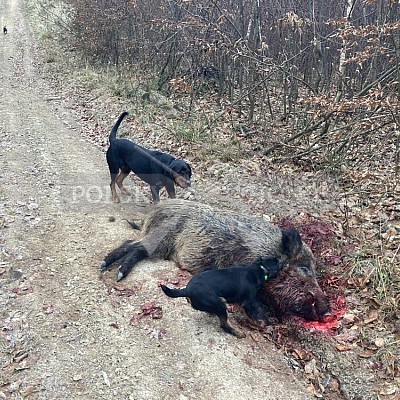 Bohuslavice u Zlína 8.1.2022