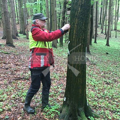 Výcvikový den Polských honičů v Lípě nad Dřevnicí 11.5.2019