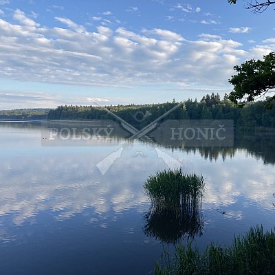 Výcvikový pobyt POLSKÝCH HONIČŮ  4-5.6.2022 VLS -divize Hořovice