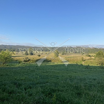 Výcvikový pobyt POLSKÝCH HONIČŮ  4-5.6.2022 VLS -divize Hořovice