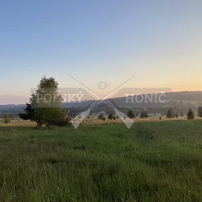 Výcvikový pobyt POLSKÝCH HONIČŮ  4-5.6.2022 VLS -divize Hořovice