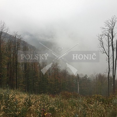 Ustroň-Polsko- 20.10.2018- 2x Polský honič