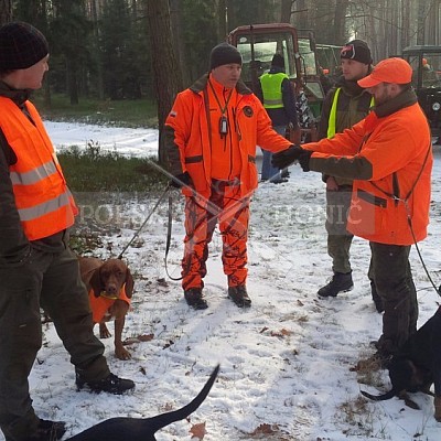 Sieraków Śląski-Polsko-leden 2016