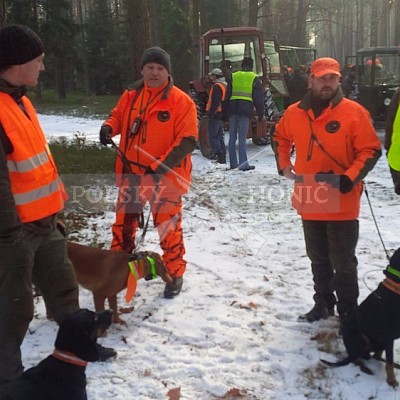 Sieraków Śląski-Polsko-leden 2016