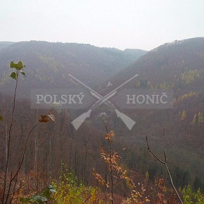 Vojenské lesy a statky ČR divize Lipník nad Bečvou 10.11.2016