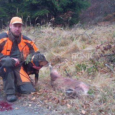 Vojenské lesy a statky ČR divize Lipník nad Bečvou 24.11.2016- POLSKÝ HONIČ 2x