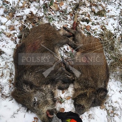 Vojenské lesy a statky ČR divize Lipník nad Bečvou 22.12.2016