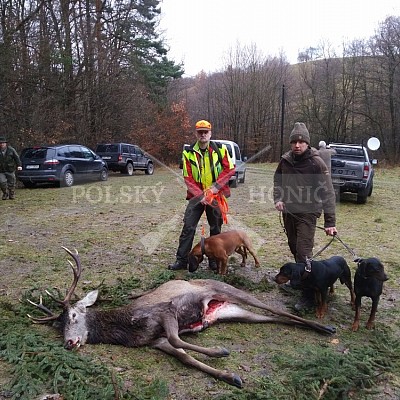 Lípa u Zlína - 26.12.2016- 2 x Polský honič