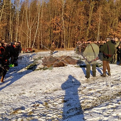 Provodov-Rýsov 28.12.2016