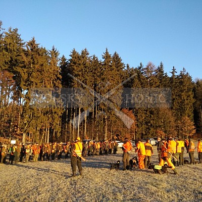 Vojenské lesy a statky ČR divize Lipník nad Bečvou 30.12.2016
