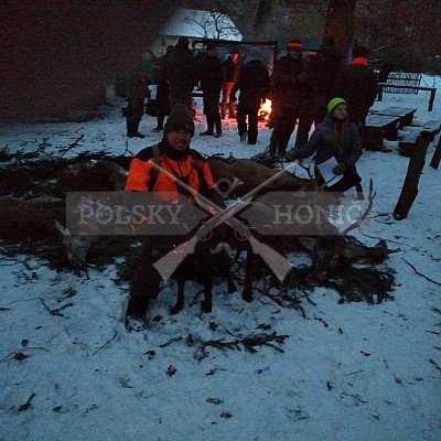 Kobior-Polsko - 6.1.2017-naháňka - 2x Polský honič