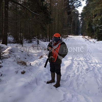 Kobior-Polsko - 7.1.2017- naháňka - 2x Polský honič