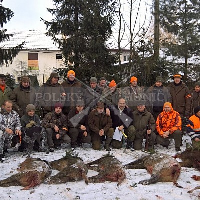 Kietlice-Polsko - 7.1.2017-naháňka - 2x Polský honič- Martin Mladý