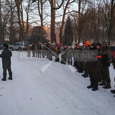 Modzurow-Polsko - 8.1.2017-naháňka - 4x Polský honič+Alpský brakýř