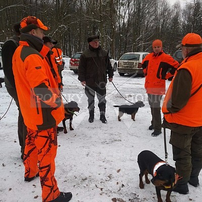 Vojenské lesy a statky ČR divize Lipník nad Bečvou 13.1.2017 