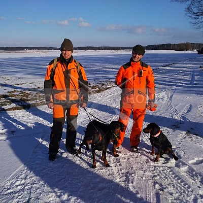 Sieraków Śląski-Polsko-14.1.2017- naháňka -Doker,Dzik,Debra,Dona (3ks vysoké,1ks černá,18ks srnčí)