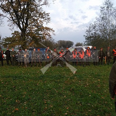 Nysa-Polsko - 21-22.10.2017 -naháňka- Dzik,Doker,Debra,Dona (1ks vysoká,7ks černá,2ks srnčí)