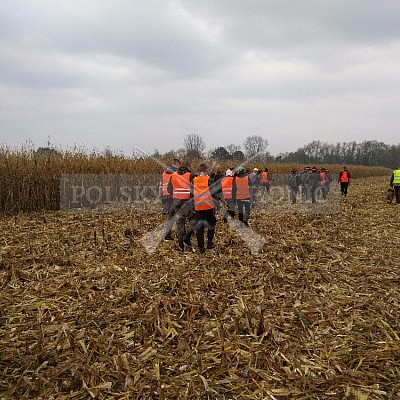 Nysa-Polsko - 21-22.10.2017 -naháňka- Dzik,Doker,Debra,Dona (1ks vysoká,7ks černá,2ks srnčí)