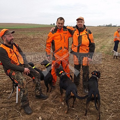 Nysa-Polsko - 21-22.10.2017 -naháňka- Dzik,Doker,Debra,Dona (1ks vysoká,7ks černá,2ks srnčí)
