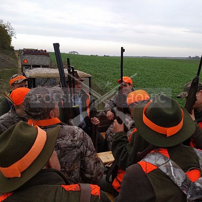 Nysa-Polsko - 21-22.10.2017 -naháňka- Dzik,Doker,Debra,Dona (1ks vysoká,7ks černá,2ks srnčí)