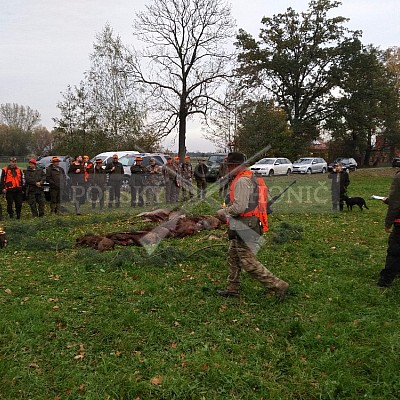 Nysa-Polsko - 21-22.10.2017 -naháňka- Dzik,Doker,Debra,Dona (1ks vysoká,7ks černá,2ks srnčí)