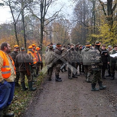 Pruchna-Polsko-3.11.2017-naháňka-Dzik,Doker,Raster ( 3ks vysoká,3ks černá,2ks srnčí,3 ks liška)