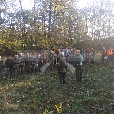Kietlice -Polsko-4.11.2017-naháňka-Dzik ,Doker,Dona (3 ks černá,1 liška)