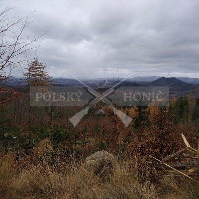 Kowary-Polsko-18-19.11-2017 naháňka-Dzik,Doker,Debra,Dona (5ks černá, 6 ks vysoká)
