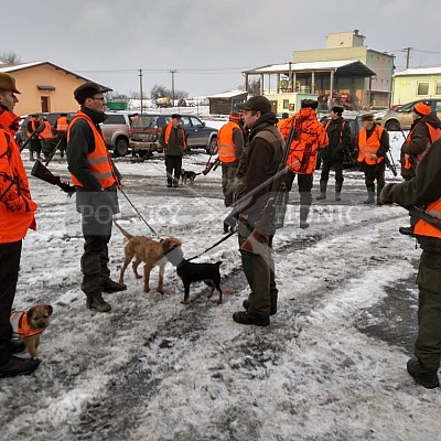 Vojenské lesy a statky ČR divize Lipník nad Bečvou 8.12.2017 