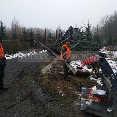 Vojenské lesy a statky ČR divize Lipník nad Bečvou 8.12.2017 