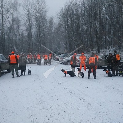 Vojenské lesy a statky ČR divize Lipník nad Bečvou 14.12.2017